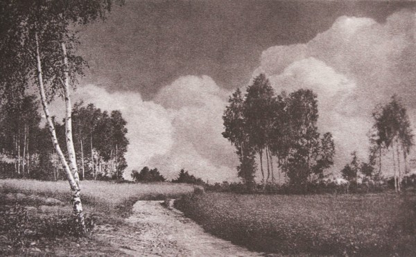 Untitled Landscape with Birch Trees